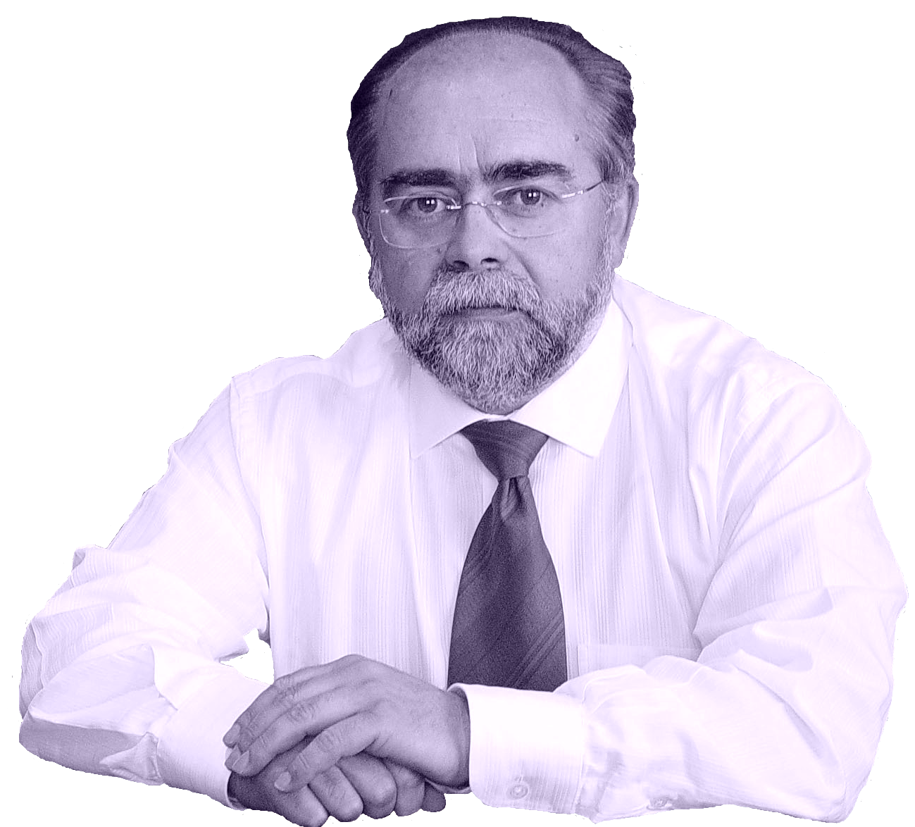 Sr. José Luís  Fernández